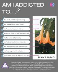 Image result for Scopolamine