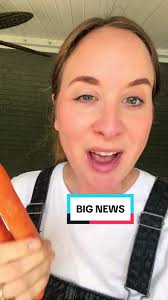 The donkeys will be getting a new friend! Due September 27, 2024! 🤍🤍🤍  @Nathan Perry #donkeysoftiktok #minidonkeys #miniature #donkey #geldinggang  #minifarmlife #pregnantlife #firsttimemom