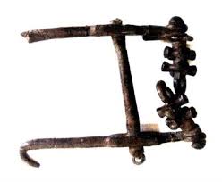 Image result for Indigofera laxiracemosa