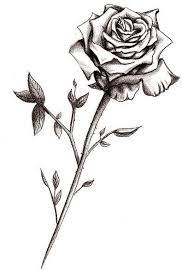 Rose Tattoo Designs The Body Is A Canvas Single Rose Tattoos Rose Stem Tattoo Black Rose Tattoos