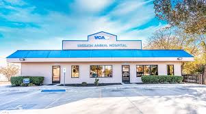 They are a 24 hour medical facility that responds to all types of pet emergencies at any time of the day or night. Veterinarians In San Antonio Tx Vca Mission Animal Hospital