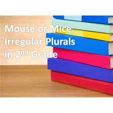 Worksheet And Activity Ideas For Teaching Irregular Plural Nouns To Second Grade Students Brighthub Education
