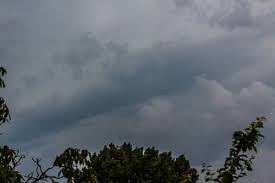 Op de foto van slechts een paar minuten geleden ziet u dat het noodweer in het uiterste puntje van de hoek van holland nu echt losgebarsten is. Noodweer Beinvloedt Ook De Bijen Haagsallerlei