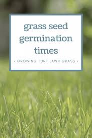 How Long Does It Take For Grass Seed To Germinate In 2020 Grass Seed Types Grass For Shady Areas Grass Seed