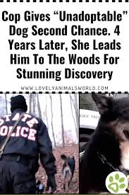 Cop Gives Unadoptable Dog Second Chance 4 Years Later She Leads Him To The Woods For Stunning Di Friday Humor Dog Hero Dog Stories