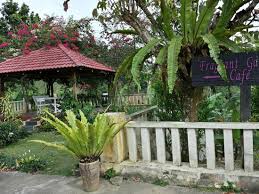 D'ark resort, suria hill resorts, saufiville, le manah retreat. Saufiville Resort See 9 Reviews And 15 Photos Janda Baik Tripadvisor