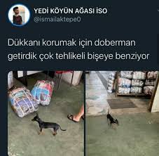 Menis Adli Kullanicinin Egleniyoruz Iste Shchshzhdhdhd Panosundaki Pin 2020 Komik Seyler Supernatural Komik Komik Tumblr
