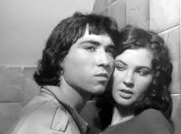 Unruly speed and sensation in the Perros callejeros cycle in: The Spanish  quinqui film