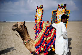 Yes there is a small camel in the picture.it is located on the south east. Abbey Doyle Rides A Camel