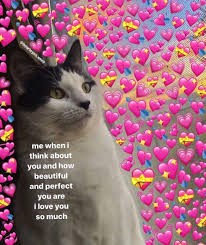 Qxeennn Cute Love Memes Love Memes Cute Memes