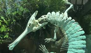 Maybe you would like to learn more about one of these? The Secret Of The Crocodile Death Roll Scientific American Blog Network