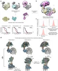 A volta roberto carlos legendado hd. Structural Insights Into Assembly And Function Of The Rsc Chromatin Remodeling Complex Biorxiv