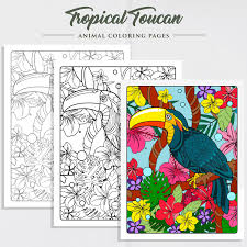 This is a list of bird species recorded in south america. Belize Macaw Coloring Pages Www Topsimages Com