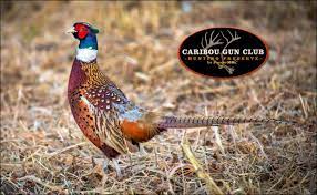 Hunting Preserve