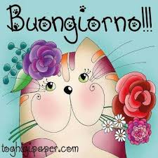 Pin Di Giusy Su Saluto Il Nuovo Giorno Immagini Di Compleanno Immagini Di Buon Compleanno Idee Per Il Compleanno