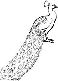 Peacock Color Sheet Peacock Coloring Pages Bird Coloring Pages Coloring Pages