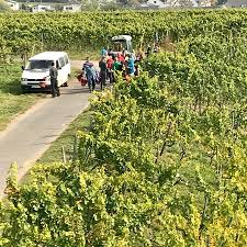 Im rheingau findet man auch besondere sehenswürdigkeiten, wie den oestricher kran, das brentanohaus oder die brentanoscheune in winkel. 10 Things To Do In Ruedesheim Am Rhein That You Shouldn T Miss