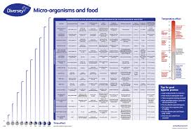 Problem Bacteria Commonly Found In Food Manufacturing Diversey