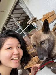 Is it worth moving to Tauranga for a daycare job?