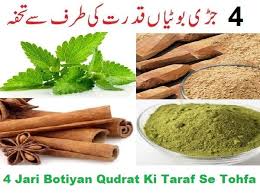 Benefits Of Herbs And Spices In Urdu 4 Amazing Herbs And Their Benefits In Urdu Jari Booti Desi Ilaj Health Tip Herbs Natural Herbs Health And Beauty Tips
