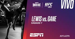 El próximo 7 de agosto, ufc celebrará otro de sus eventos y esta vez desde el toyota center, en houston, texas. O6ujlqizdp6vsm