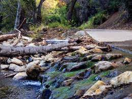 This campground is located on a year round stream and is shaded by trees running the length of the camp area. Wheeler Gorge Los Padres National Forest Recreation Gov