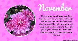 Your Birth Flower Is November November Birth Flower Birth Flowers Birth Month Flowers