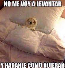 No Pinche Memes Chistoso Gracioso Muero De Risa