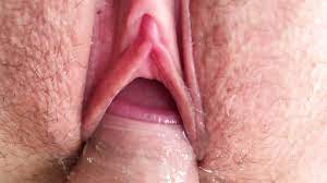 The Best POV Close-Up Pussy Fuck. Cum inside Vagina. Huge Creampie. |  xHamster