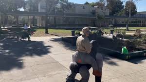 @polyjackrabbits's video Tweet