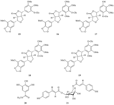 Image result for Terminalia phanerophlebia