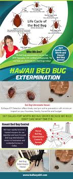 To learn about pest control and more or to request a home visit. Bedbug Removal Bedbugremoval Profile Pinterest