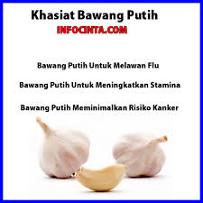 Potensi manfaat bawang putih untuk kejantanan pria pernah dibuktikan oleh penelitian terbitan jurnal american. Pin Di Infocinta Com
