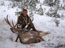 Mule deer lodge, where the deer visit daily and can be seen just outside your window. Our Best Mule Deer Hunts Montana Hunting Outfitter
