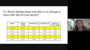 Bio 137 will include basic chemistry, cell structure, cell physiology, metabolism, tissues, and integumentary, skeletal, muscular and. Virtual Cell Homeostasis Lab Youtube