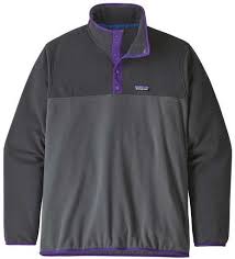 Patagonia Men S Micro D Snap T Pullover In 2020 Pullover Men Patagonia Mens Snap T