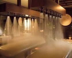 Pin By Spa Index On Spa 101 Spa Shower Spa Rooms Spa Design