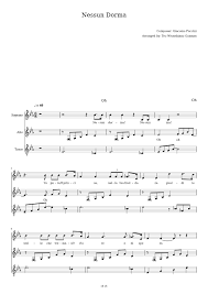 Some difficult chords to remember but a good arrangement of a well known opera aria. Nessun Dorma Sheet Music For Soprano Tenor Alto Choral Musescore Com