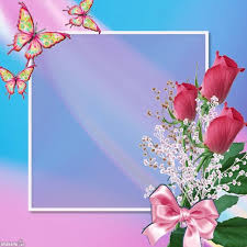 Pink Roses Esamary69 Flower Background Wallpaper Gold Wallpaper Background Rose Frame
