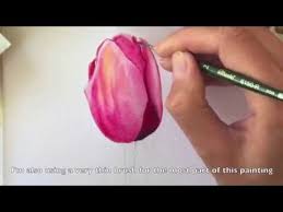 How to paint watercolor flowers youtube. How To Paint A Tulip In Watercolors Youtube