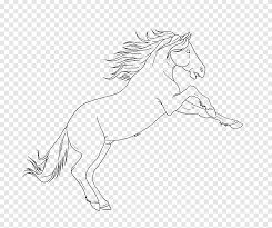 Realism raise your horse and teach it to trot, canter, gallop and jump through the highly detailed virtual 3d environments. Mustang Brumby Pony Drawing Sketch Mustang Horse White Png Pngegg