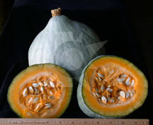 Thin skinned summer squash (zucchini) can be cooked in every conceivable way, or better yet, eaten raw. Freshpoint Baby Blue Hubbard Squash
