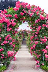 Rose Arch In The Park Planten Un Blomen Hamburg Germany Beautiful Flowers Garden Beautiful Gardens Most Beautiful Gardens