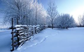 Free Wallpapers Winter Scene Src Winter Snow Scenes Arturo Dewey Resides In Ethete Wyoming 1920x1200 Download Hd Wallpaper Wallpapertip Download the snow, nature png on snow includes man or woman ice crystals that develop whilst suspended in the atmosphere—usually inside clouds—and then fall, collecting on the. arturo dewey resides in ethete wyoming
