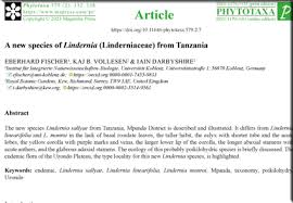 Image result for Crepidorhopalon whytei