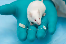 Infusion and injection are synonymous, and they have mutual synonyms. Infusion Vs Injection Considerations For Small Animal Pharmacology Research