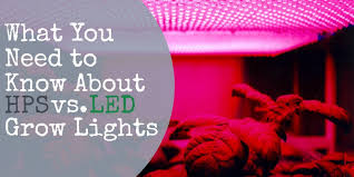 But it's a personal choice to stay with the obsolete hps setup or switch to the. What You Need To Know About Hps Vs Led Grow Lights Trimleaf
