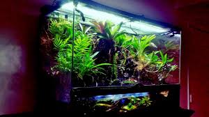 Cheap terrariums, buy quality home & garden directly from china suppliers:vivarium paludarium aquarium turtle tank with background uva light basking platform rainforest kit with brick pattern. Vivarium Paludarium Maintenance Youtube