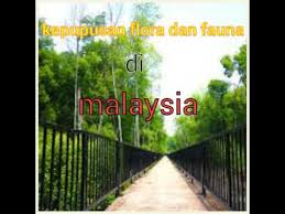 Flora dan fauna adalah kekayaan alam yang dapat diperbaharui dan sangat berguna bagi kehidupan manusia serta makhluk hidup lainnya di bumi. Kepupusan Flora Dan Fauna Youtube