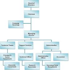 58 Disclosed Consulting Company Organization Chart